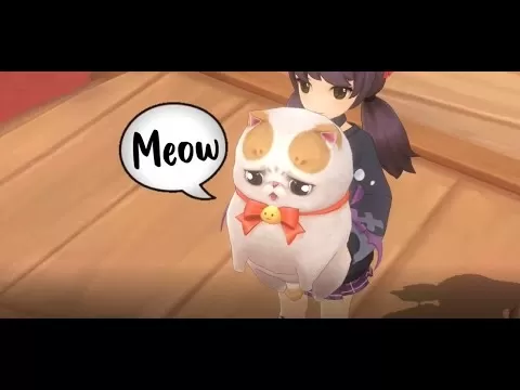 yt