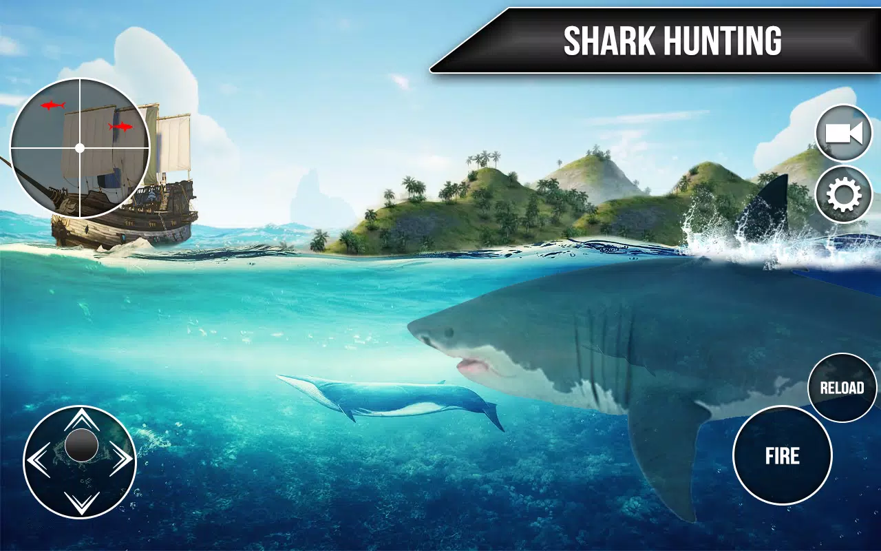 Wild Shark Fish Hunting game Captura de tela 3