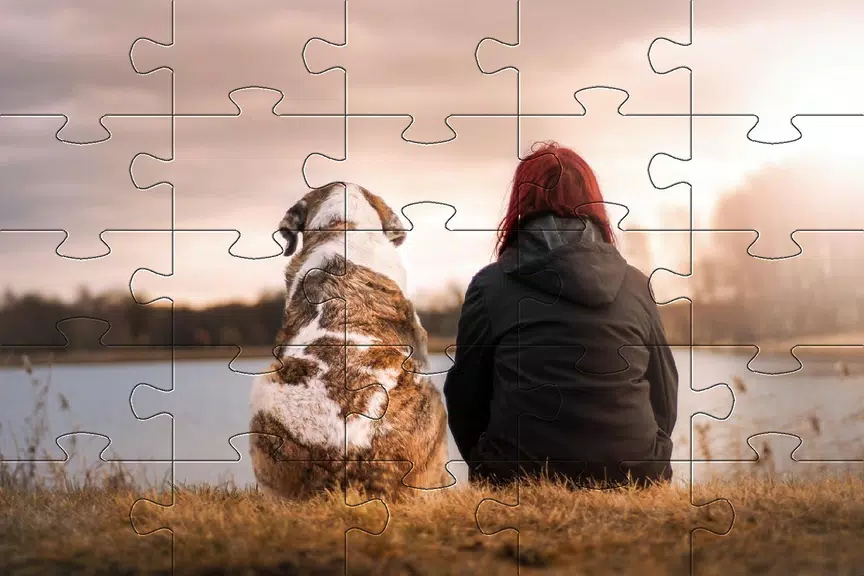 Jigsaw puzzle without internet Capture d'écran 3