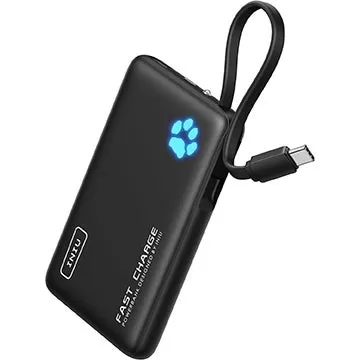 INIU 42W Power Bank - Essential Travel Tech